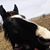 Renee Mitchell Loveland's profile image