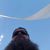 Billy Miller's profile image