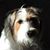 Barbara Stroud's profile image
