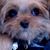 Ellorie Silver's profile image