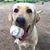 Cindy Abernathy's profile image