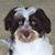 Audrey Makar's profile image