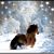 Terri Samarzia's profile image
