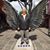 Julio Antonio Perez Vieyra's profile image