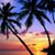 Jeanie Burris's profile image