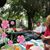 Brenda Stevens Lapham's profile image