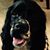 Karen Schlabach's profile image