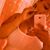 Alondra Hernandez's profile image
