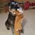 Angela Joy Kirkley's profile image