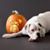 Mary Landers's profile image
