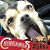 Christine Vibostak's profile image
