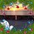 Annette Schatzel's profile image