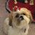Melissa Bigney's profile image
