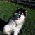 Pat Knittel's profile image