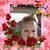 Francis Mae Hobbs's profile image