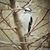 Jo Greenwell Rolston's profile image