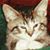 Beth Seman's profile image