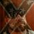 Tim Horn's profile image