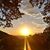 Leigh Ann Green's profile image