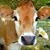 Brenda Edwards Holder's profile image