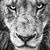 John Corey Wentling's profile image