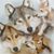 Rhonda Donahoe's profile image