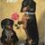 Laura Creswell Bradley's profile image