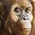Doug L.'s profile image