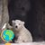 Nina Willett's profile image