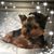 Judy Swallie's profile image