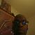 Wavalyn Brown's profile image