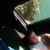 Gustavo Saldana's profile image