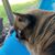 Susan Jurist's profile image