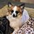 Terri Baker Maulik's profile image