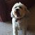Debbie Aaron Dover's profile image