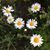 Amy Latulippe's profile image