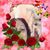 Tracy L Williams's profile image
