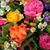 Cheri D Johnson's profile image