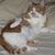 Terri Van Valkinburgh's profile image