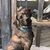 Kristen Barry Mozuch Beard's profile image
