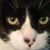 Kevin L Poore's profile image