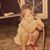 Sarah McNeely's profile image