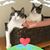 Paul J. DerBoghosian's profile image