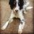 Liesje Marie Fennimore's profile image