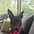 Cheryl Holland Mills's profile image