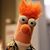 Rick Rodgers's profile image