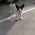 Katherine McVicker's profile image