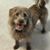 Sharon Laffey's profile image