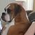 Angie J Kappel's profile image