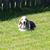 Michael J. Mueller's profile image